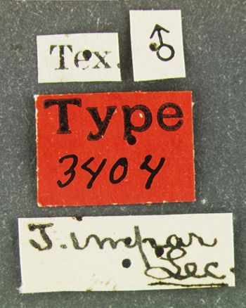 Media type: image;   Entomology 3404 Aspect: labels